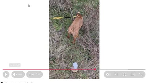 Kevin Murdaugh - When Virtue Signaling bottoms out within a Corrupt Agenda - Pt 1