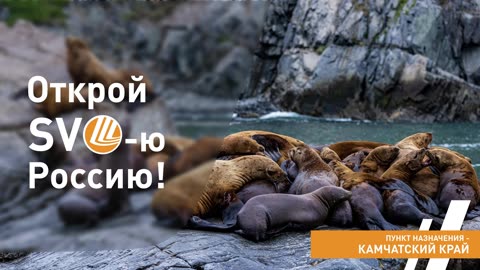 Discover SVO Russia: destination - Kamchatka Krai