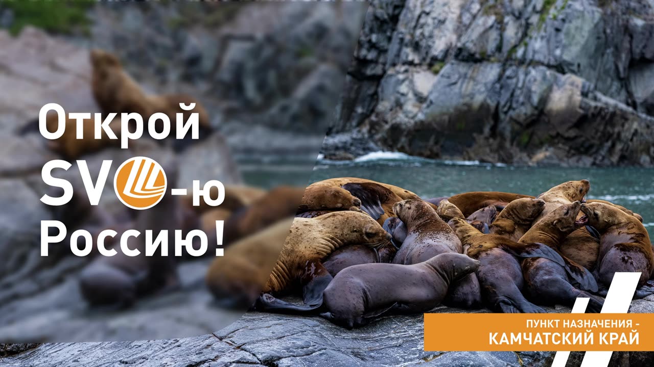 Discover SVO Russia: destination - Kamchatka Krai