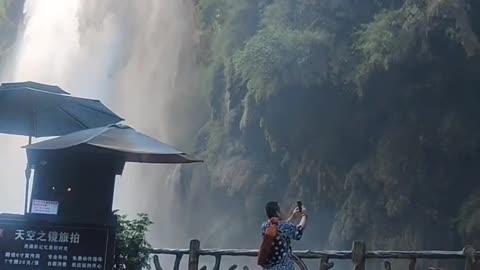 Peaceful Outdoor Views 🌳 Stunning Nature Scenes 🐦🌺 Amazing Nature Views 🍃 #Shorts