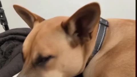 Bridge to the Holy Other