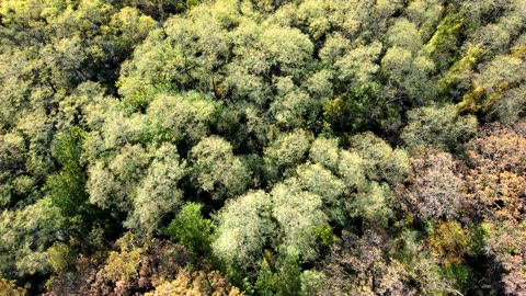 Religious Spy Attack Number One