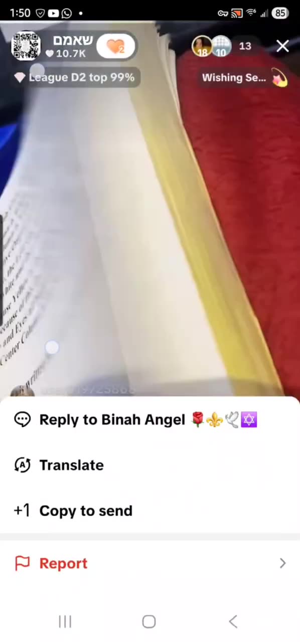 And when the sun waa going down. ZOHAR VAYECHI 34. R' ALEPH 🤍 ✨️ 12/26/25