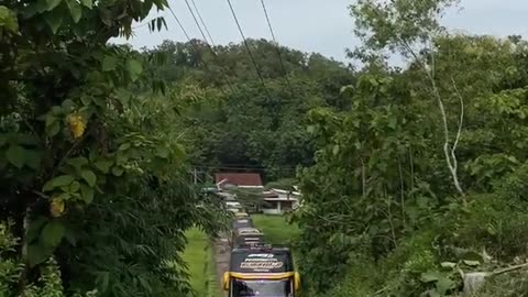 convoy tourist buses on a narrow road