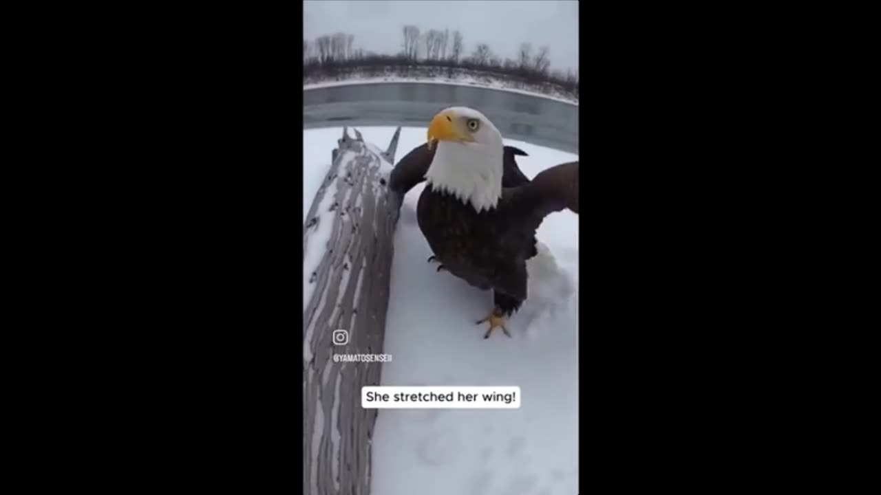 BEHAV!0R !$ C0MMUN!CAT!0N