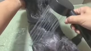 😻❤️ Kitty's Date Prep is HILARIOUS! | FunFM