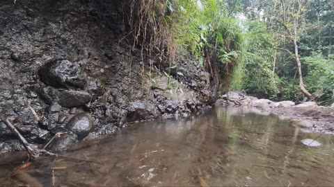 Relaxing River Sounds - Peaceful Forest River