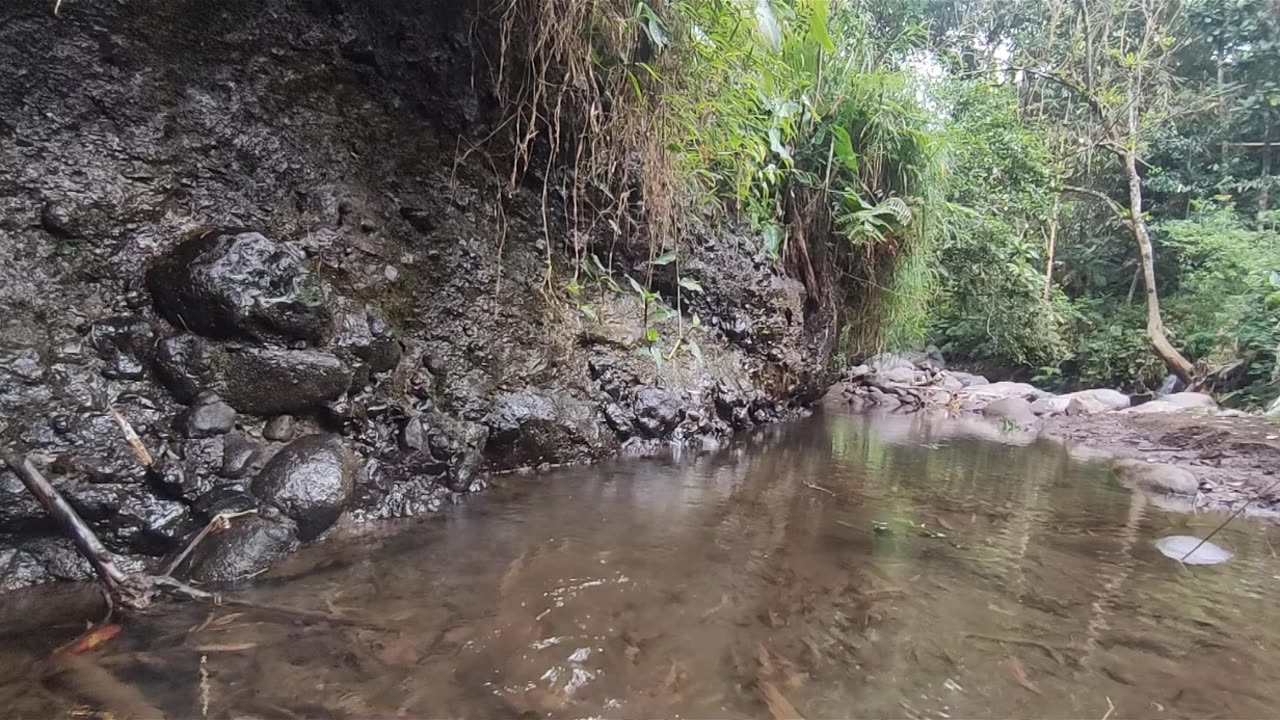 Relaxing River Sounds - Peaceful Forest River