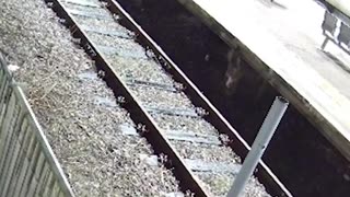 Footage of passengers fleeing the Huntingdon attack.