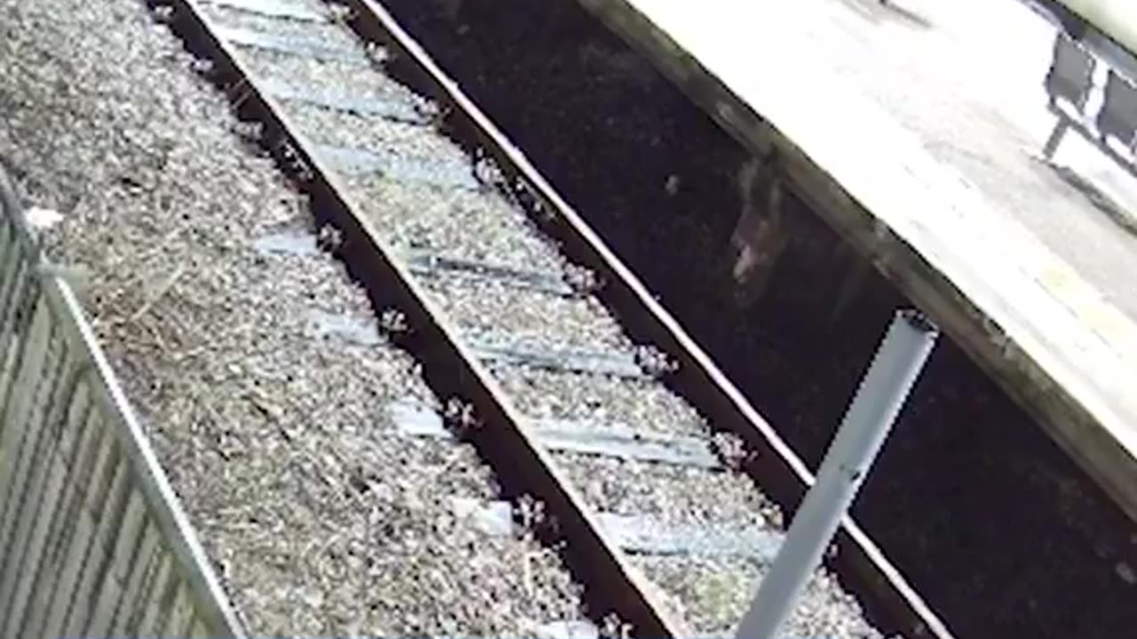 Footage of passengers fleeing the Huntingdon attack.