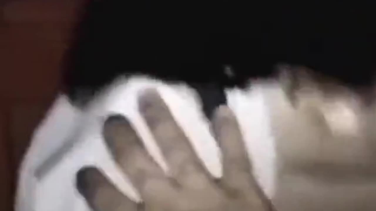 👻🤝 Ghost Caught on Camera Making a New Friend?! | TheHauntingHour