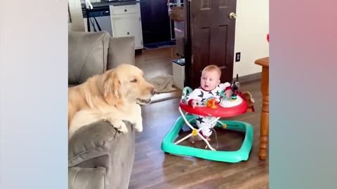 🤣Funny Baby And Animals Video Funniest Video Animals Video