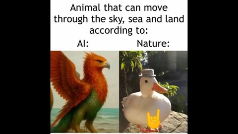 Memes Oct 14, 2025