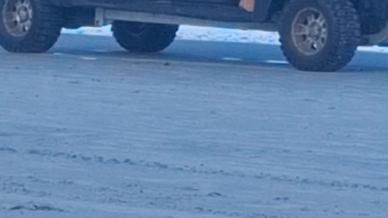 ⛑️Ocean Rescue :Jax Beach