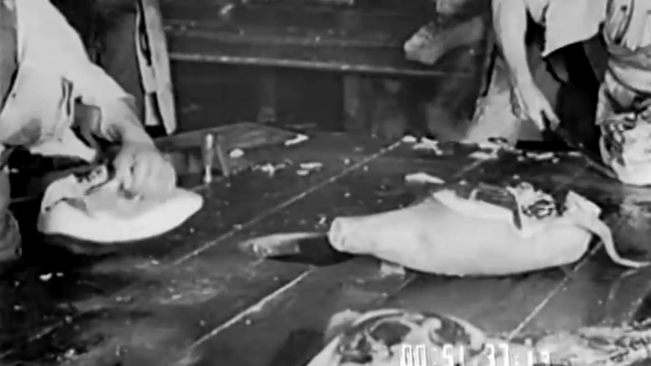 MEAT PACKING - MEAT PACKING - fc-fc-485