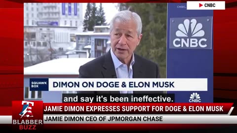 Jamie Dimon Expresses Support For DOGE & Elon Musk