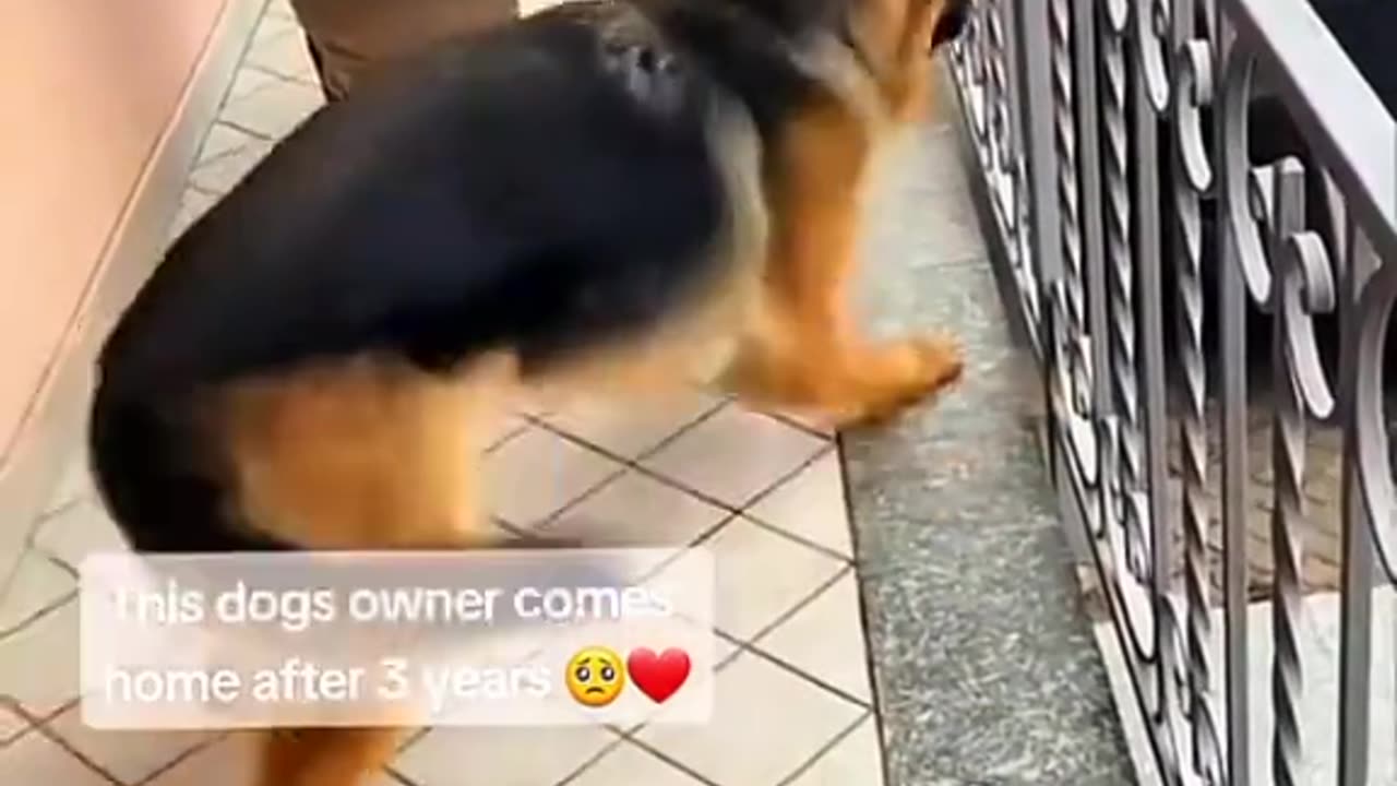 REMEMBERING SUNDAY 10/12/25