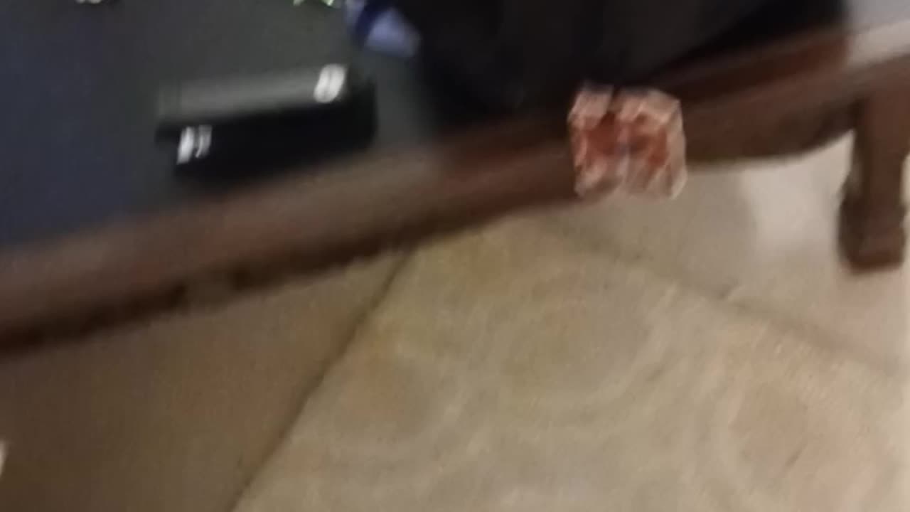 MISSING STUFF FROM CAR ACCIDENT - NOV 9TH - 2025