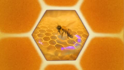 Case File 005 | Jack the Ripper: The World’s Most Elusive Killer