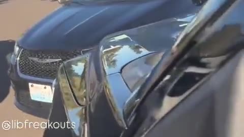 Watch as this ICE Activist and her friends blocks in an ICE agent with their vehicles.