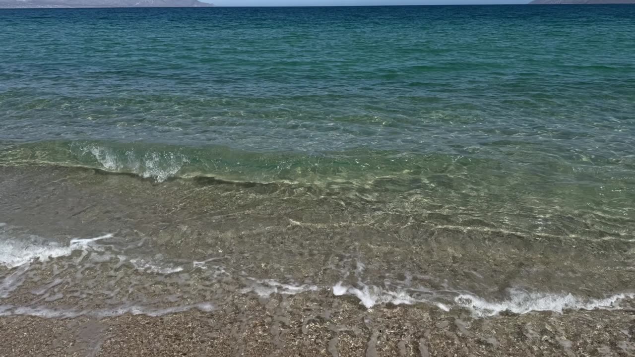 Conotoxins Potential Therapeutics from Cone Snails