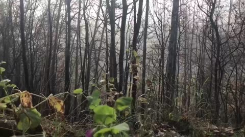 Short word, powerful prayer