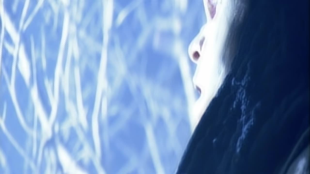 Meat Loaf - I'd Do Anything For Love (But I Won't Do That)
