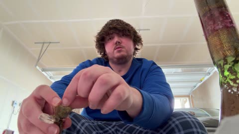 Day 76 The paper towel was in the way lol