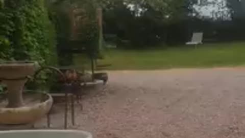 Papaji - _Quels sont les signes d'une réalisation imminente