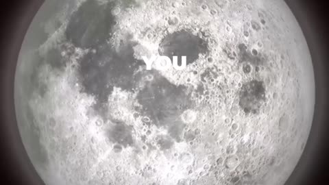 Wasp Facts Guide: Hidden Truths You Must Know