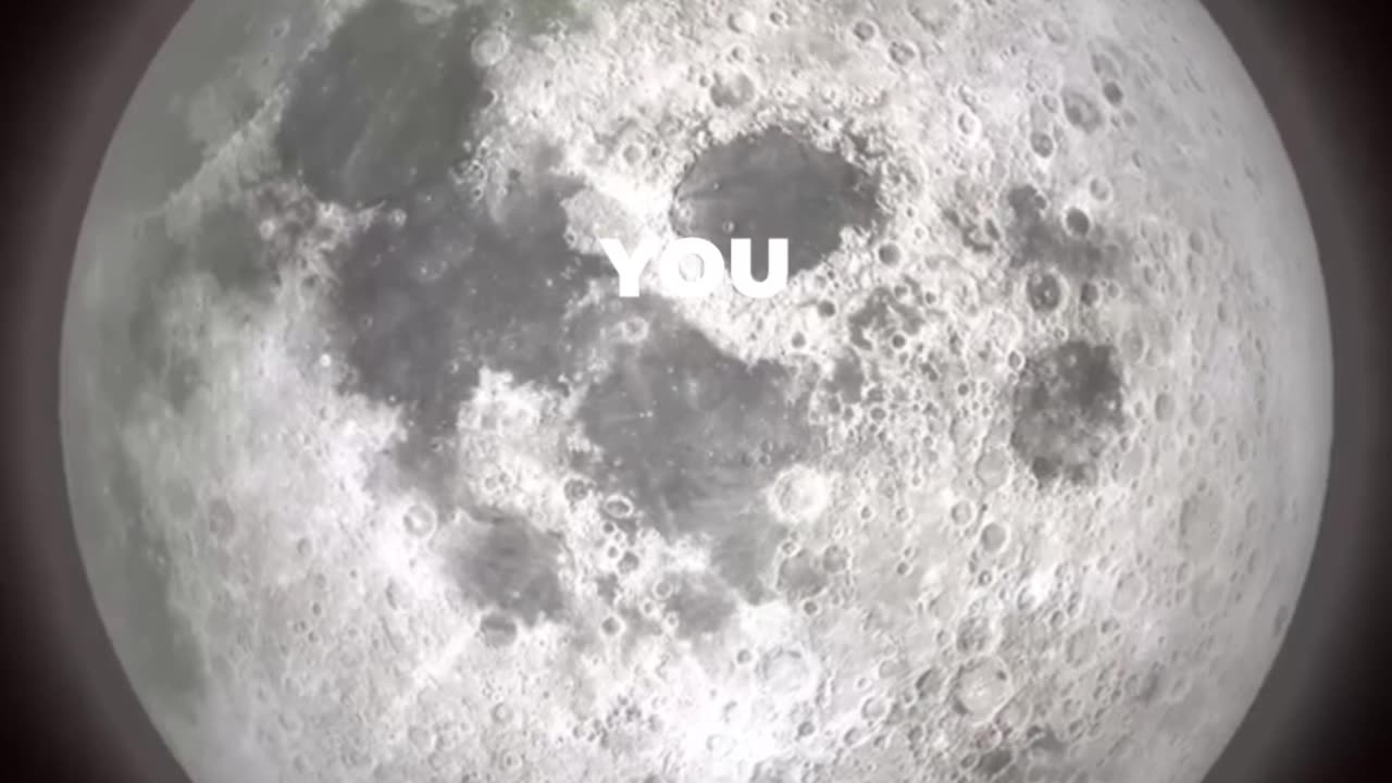 Wasp Facts Guide: Hidden Truths You Must Know