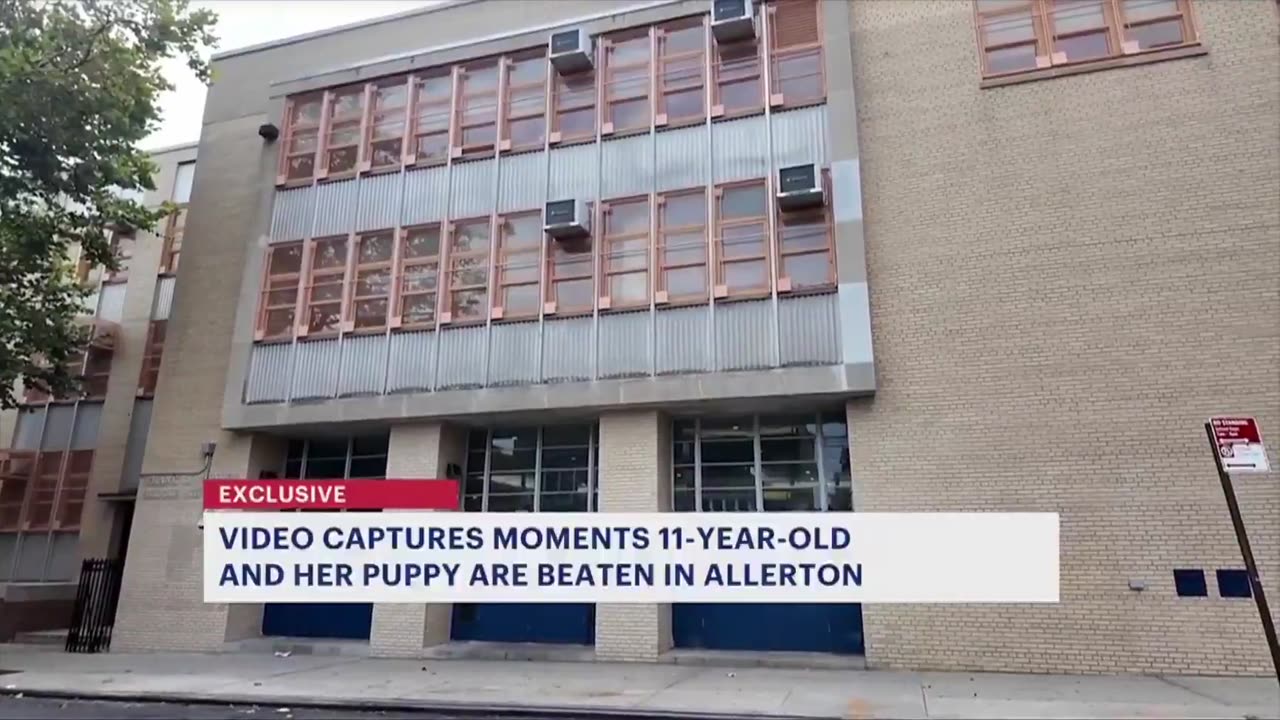 BREAKING: Another Insane Attack On 11Year Old White Girl & Her DOG!