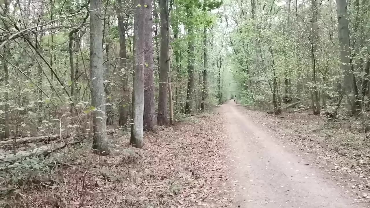wszystko do du.. ??