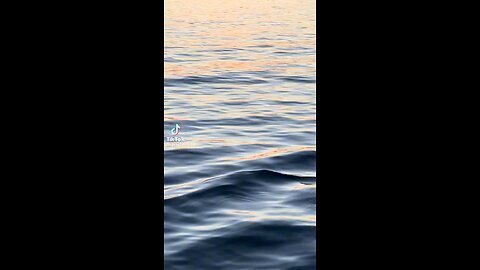 Every sunrise is a new beginning☀️ Make everyday a beautiful one 😍