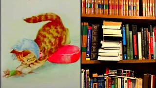 The story of Miss Moppet
