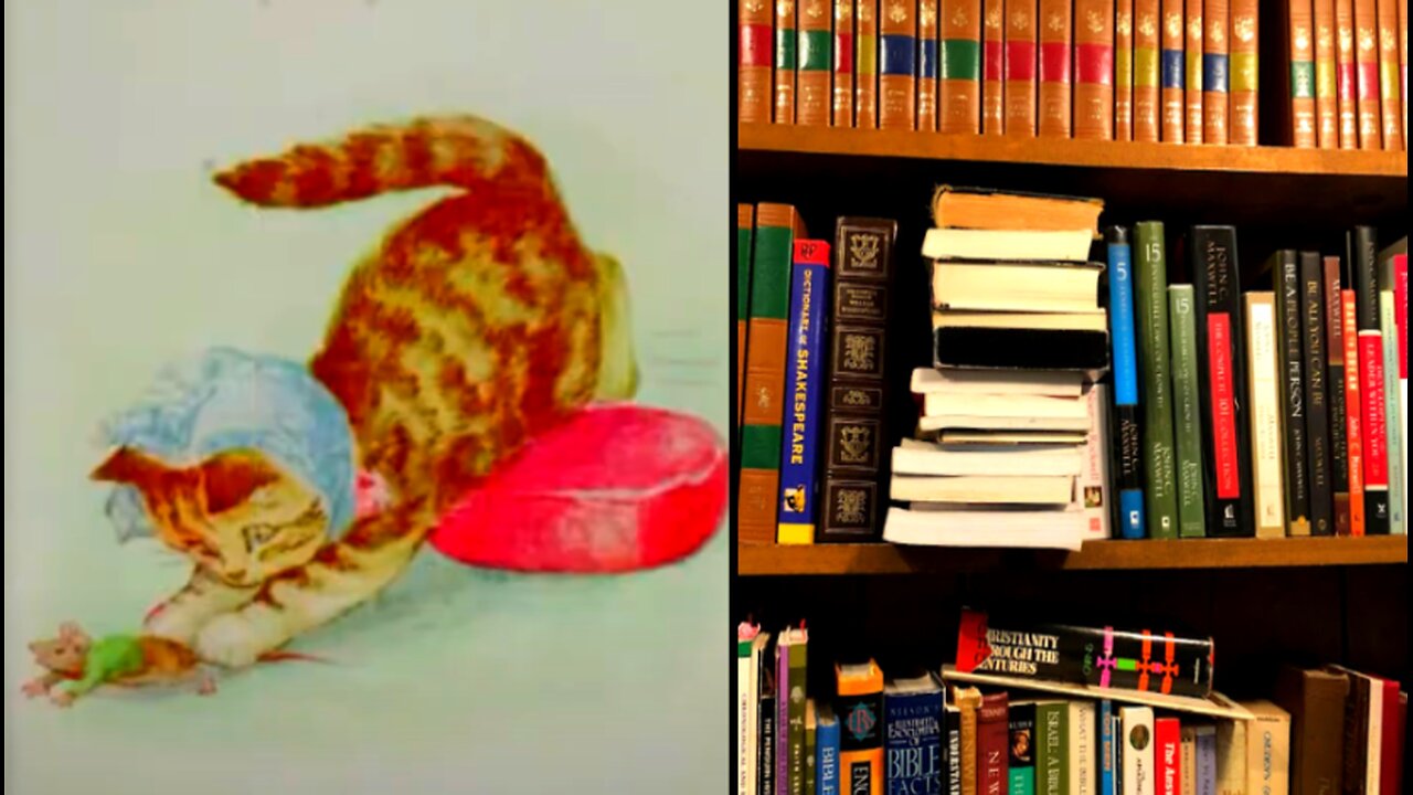 The story of Miss Moppet
