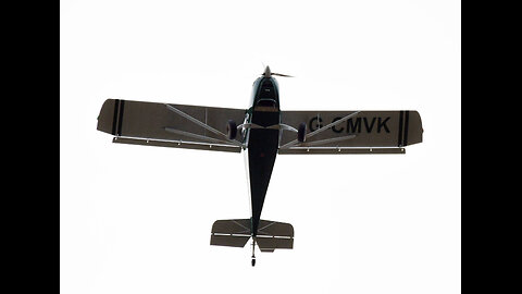 TO MY WINGED MONKEY FRENS