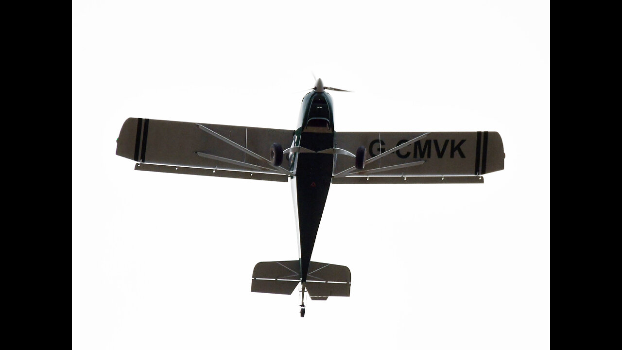 TO MY WINGED MONKEY FRENS