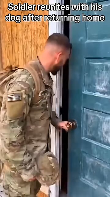 Dog is the most lovable friend in the whole world 🌎🌏🌏🌏