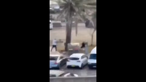 Shooting at Bondi Beach kills 12 and injures dozens