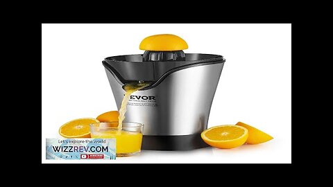 VEVOR Electric Citrus Juicer Orange Juice Squeezer With One Juicing Cone 100W Review