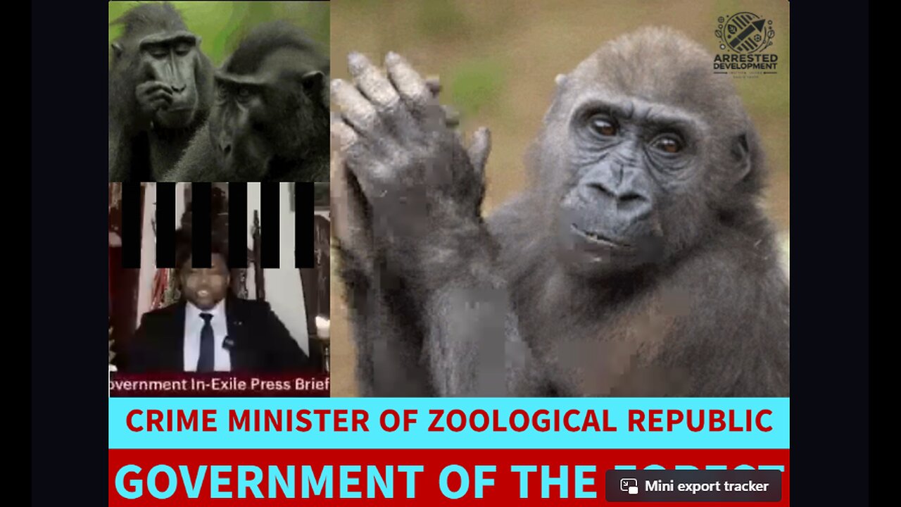 DOUBLE AGENT: Gorilla Minister Takes Control of Forest Government BREAKING NEWS Wild