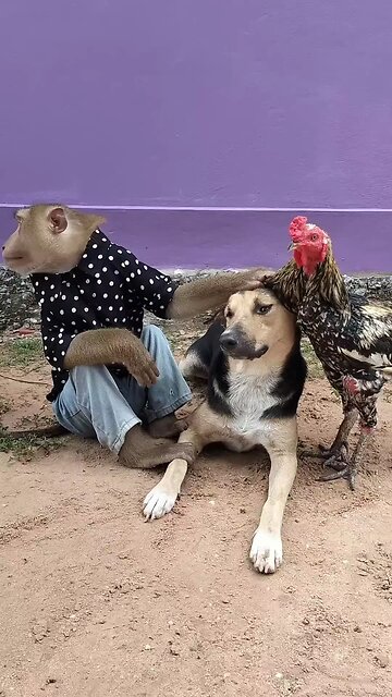 Awesome Video Best SokYaa, OG, Pao & Mom Are Famous Around The World #shorts #anime #trend #edit