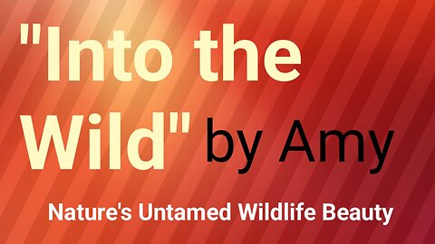 "Into the Wild: Nature’s Untamed Beauty Wildlife". part 1 by Amy