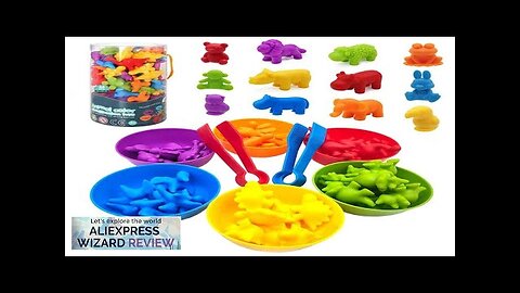 Montessori Material Rainbow Counting Bear Math Toys Animal Dinosaur Color Sorting Matching Review