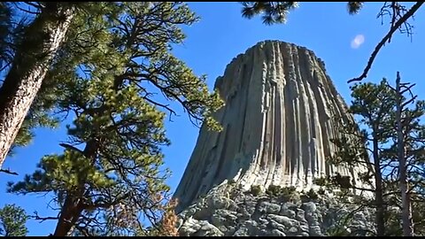 THE GIANT TREES ANGELS DESTROYED.... 🤔