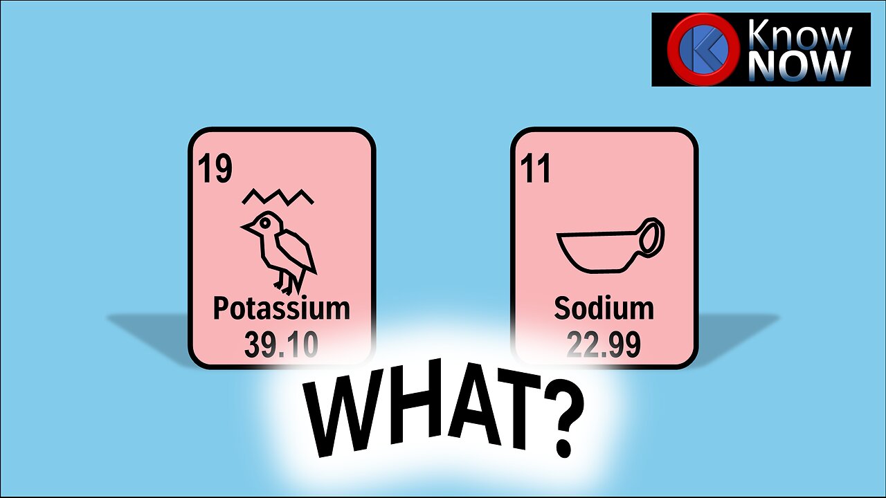 Why are Na and K called Sodium and Potassium? (16:9)