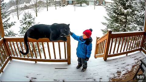 When Your Baby Brings a New Friend Home 😂 Baby and Animals
