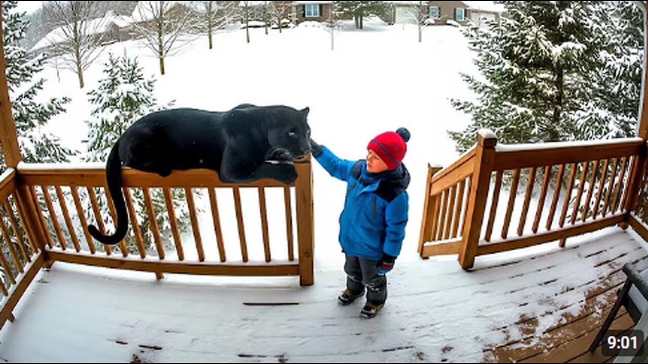 When Your Baby Brings a New Friend Home 😂 Baby and Animals