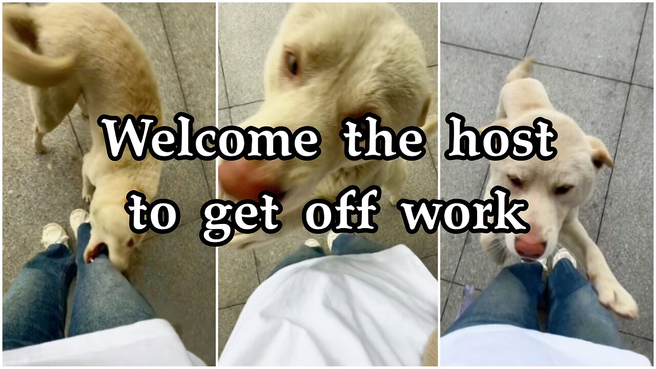 Welcome the host to get off work
